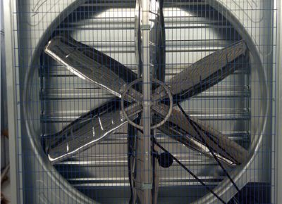 點(diǎn)擊查看詳細(xì)信息<br>標(biāo)題：Heavy Hammer Type Animal Husbandry Fan 閱讀次數(shù)：1429