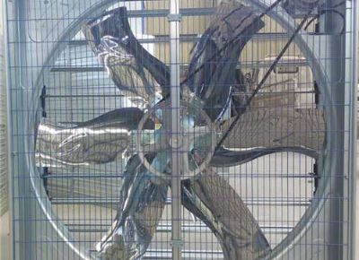 點擊查看詳細信息<br>標題：Push Pull Type Animal Husbandry Fan 閱讀次數(shù)：1992
